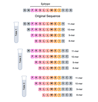 T-cell Truncated