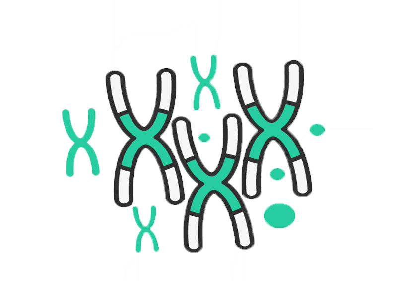 cell penetrating peptide oligo conjugation