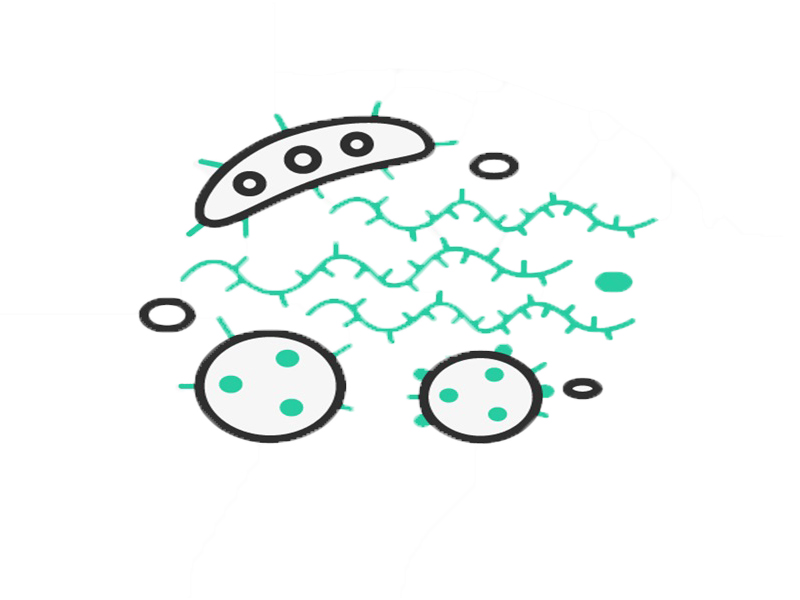 Trigoats D amino Acid Structure