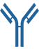 Antibody Structure